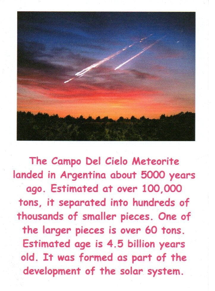 Meteorite Necklace W/ Chain Campo Del Cielo 4.9 Grams Real Dinosaur Girl COA 42