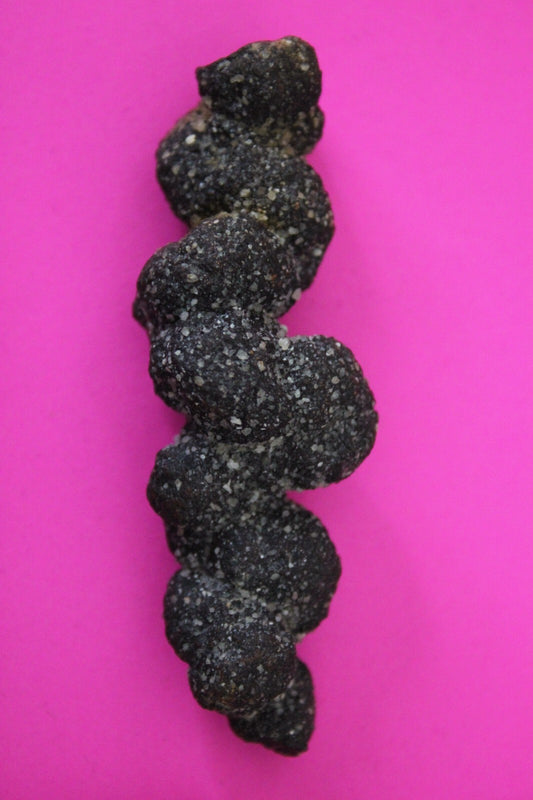 Giant Lizard Poop 5 Million Years Old Coprolite Genuine Fossil Dino Girl COA S25