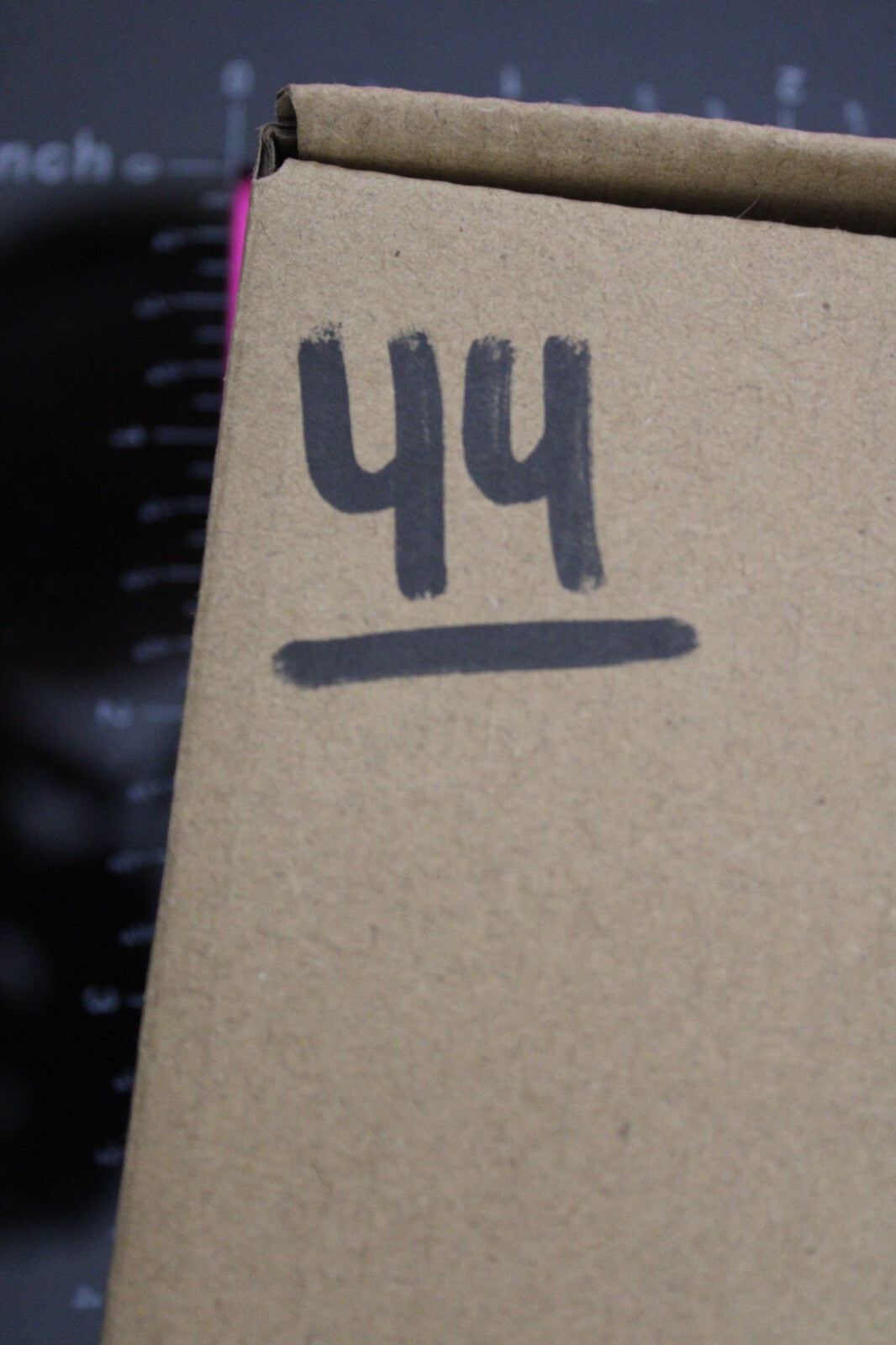 Authentic Trilobite Fossil 450 Million Years Old Genuine Dinosaur Girl COA 44