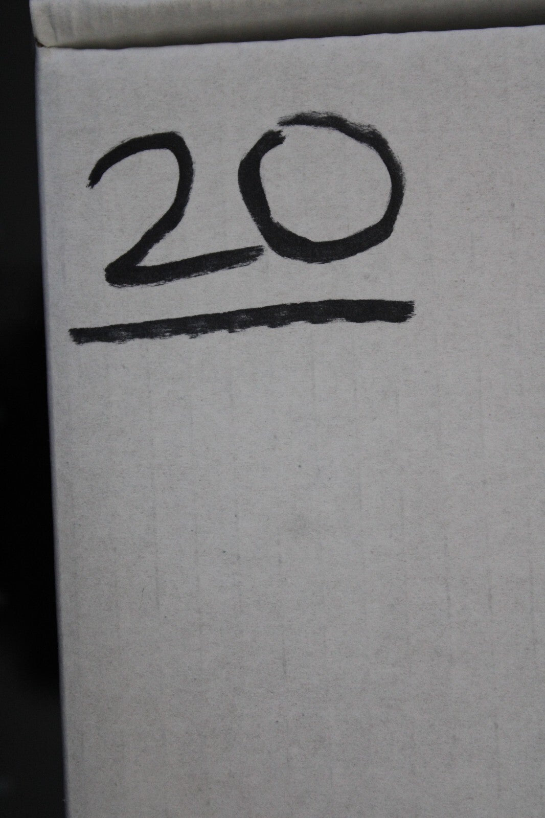 Giant Lizard Poop 5 Million Years Old Genuine Real Fossil Dinosaur Girl COA L20