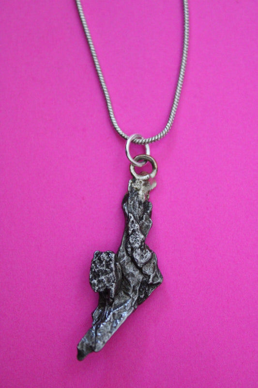 Meteorite Necklace W/ Chain Campo Del Cielo 3.3 Grams Real Dinosaur Girl COA 56