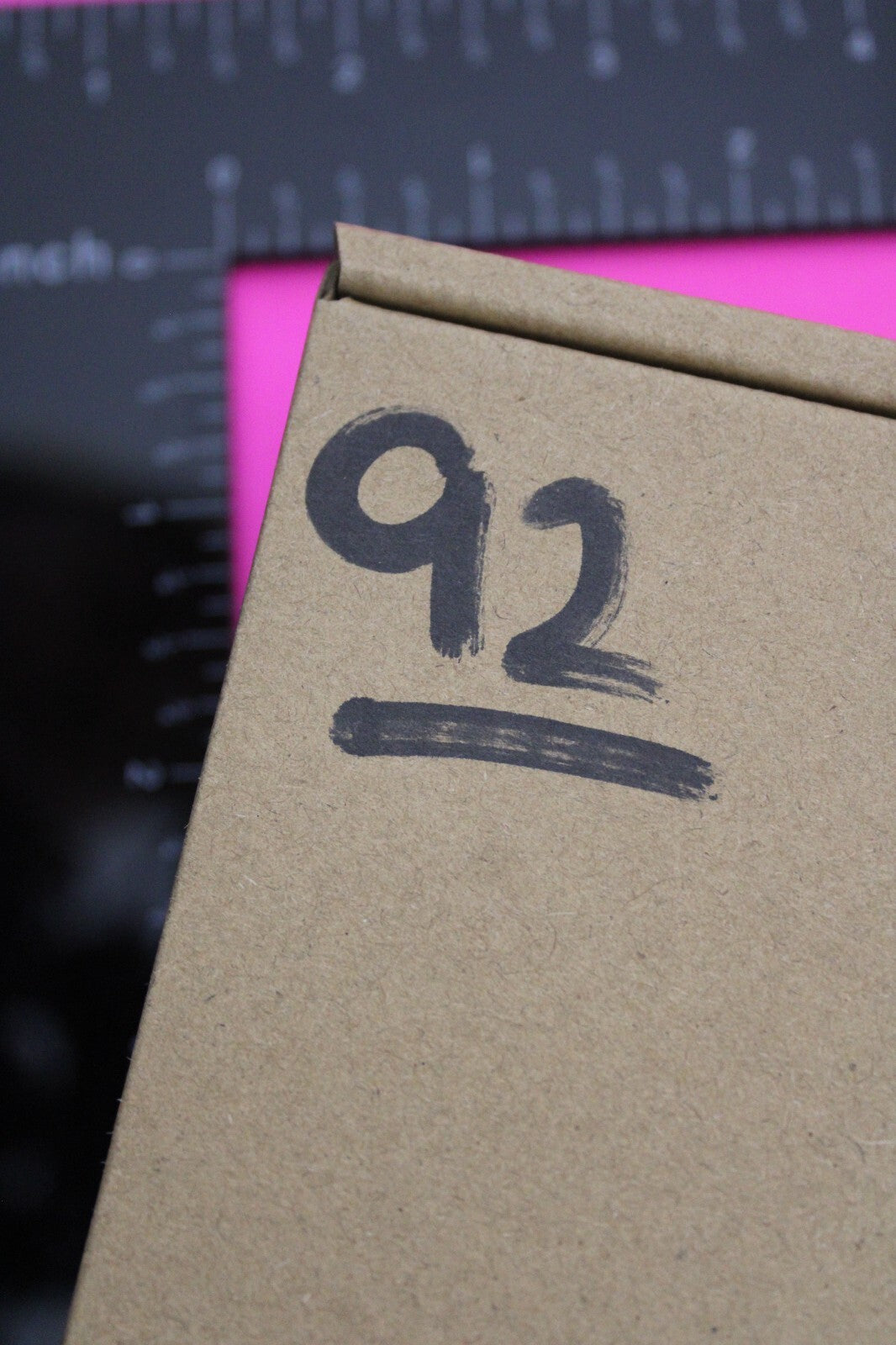 Authentic Trilobite Fossil 450 Million Years Old Genuine Dinosaur Girl COA 92