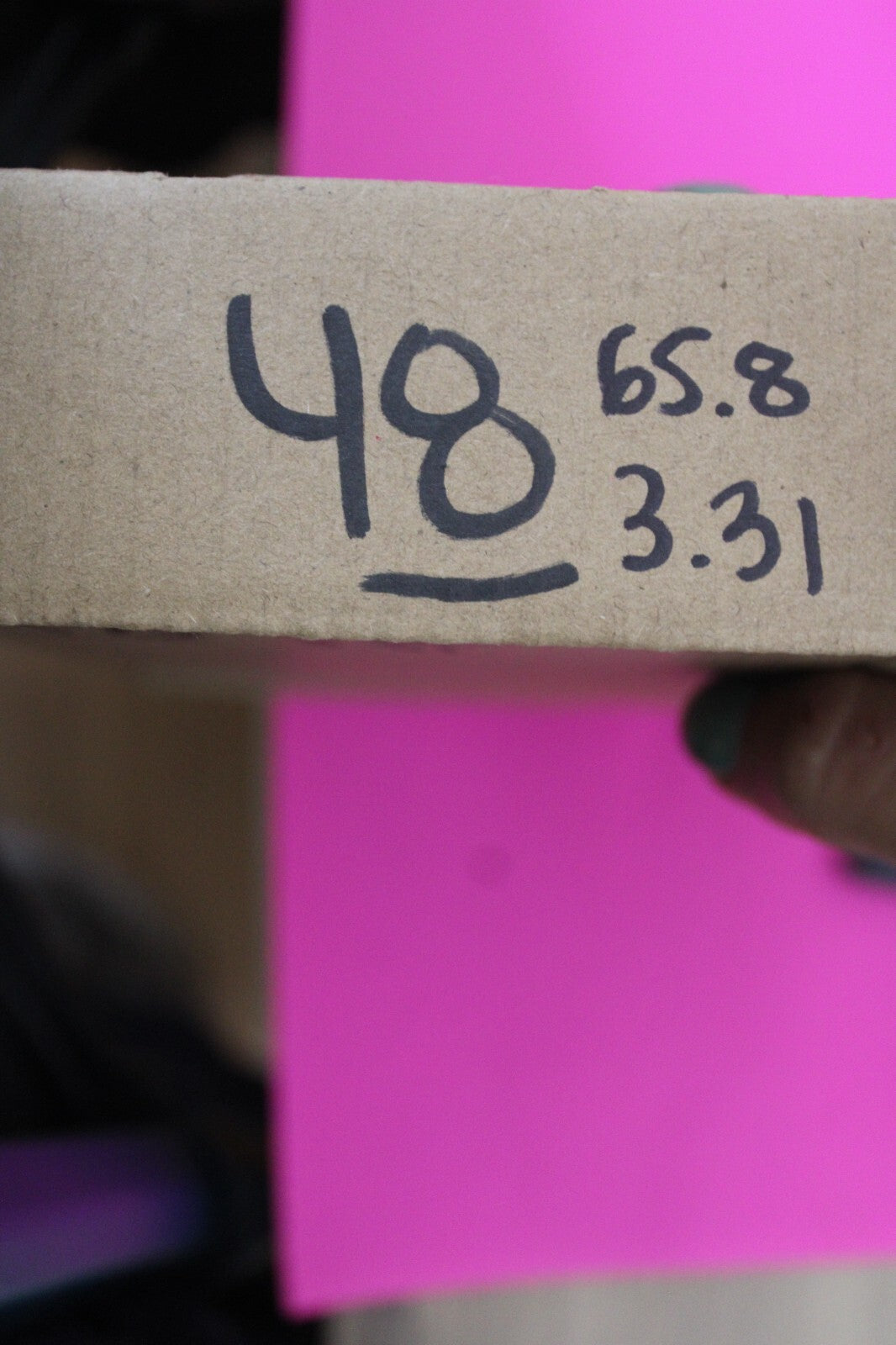 Authentic Megadolon Shark Tooth 3.31 Inch 65 Grams Fossil Dinosaur Girl COA M48