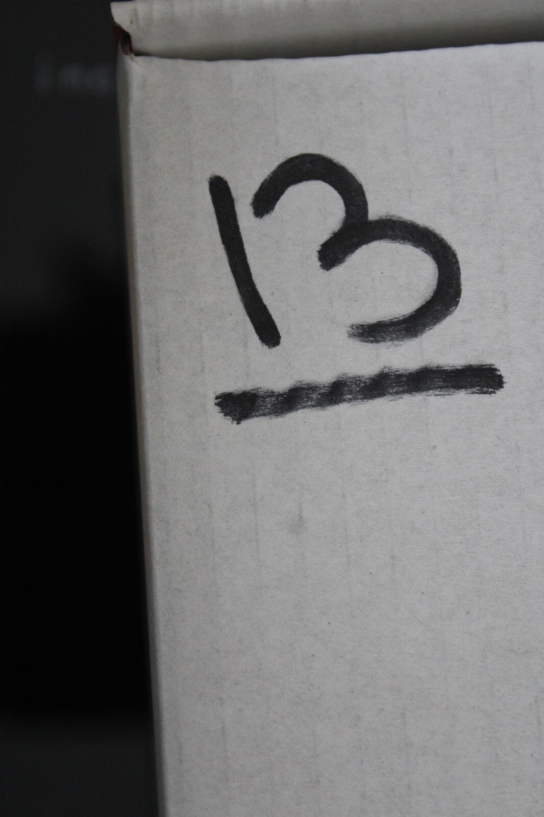 Giant Lizard Poop 5 Million Years Old Genuine Real Fossil Dinosaur Girl COA L13