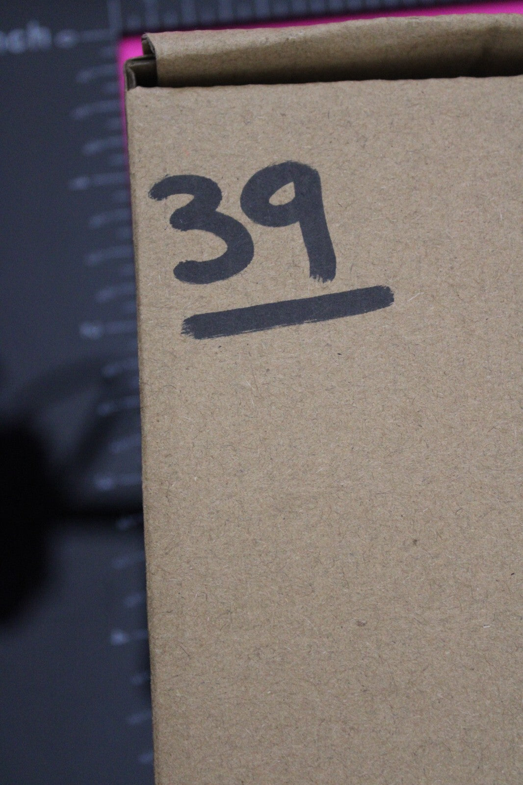 Authentic Trilobite Fossil 450 Million Years Old Genuine Dinosaur Girl COA 39