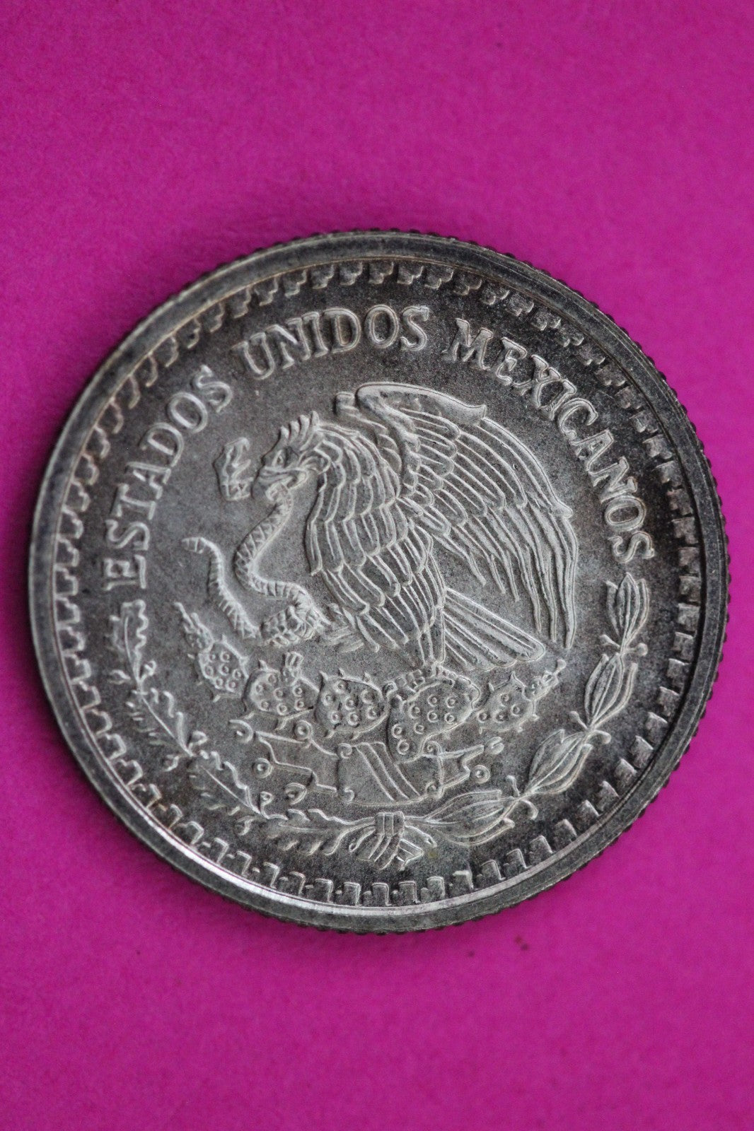2005 Mexico Libertad 1/20 Onza Silver Coin 1/20 Ounce Guaranteed Authentic 2103