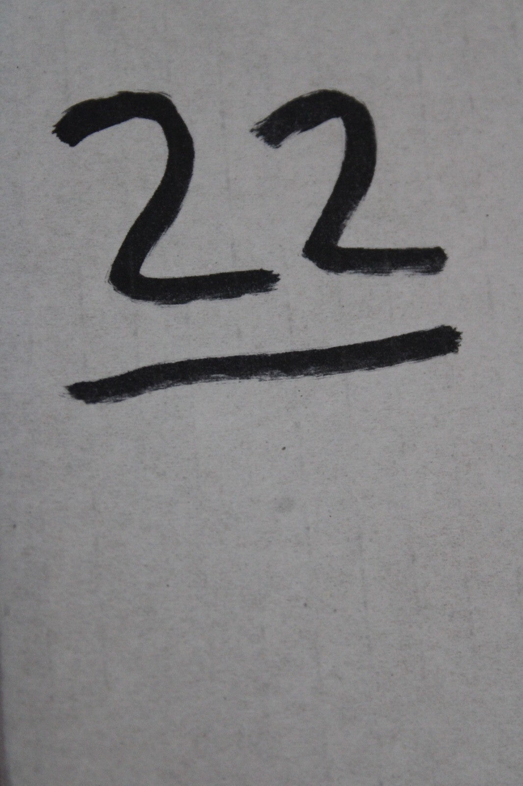 Giant Lizard Poop 5 Million Years Old Genuine Real Fossil Dinosaur Girl COA L22