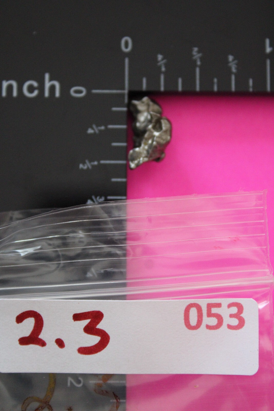 Meteorite Necklace W/ Chain Campo Del Cielo 2.3 Grams Real Dinosaur Girl COA 53