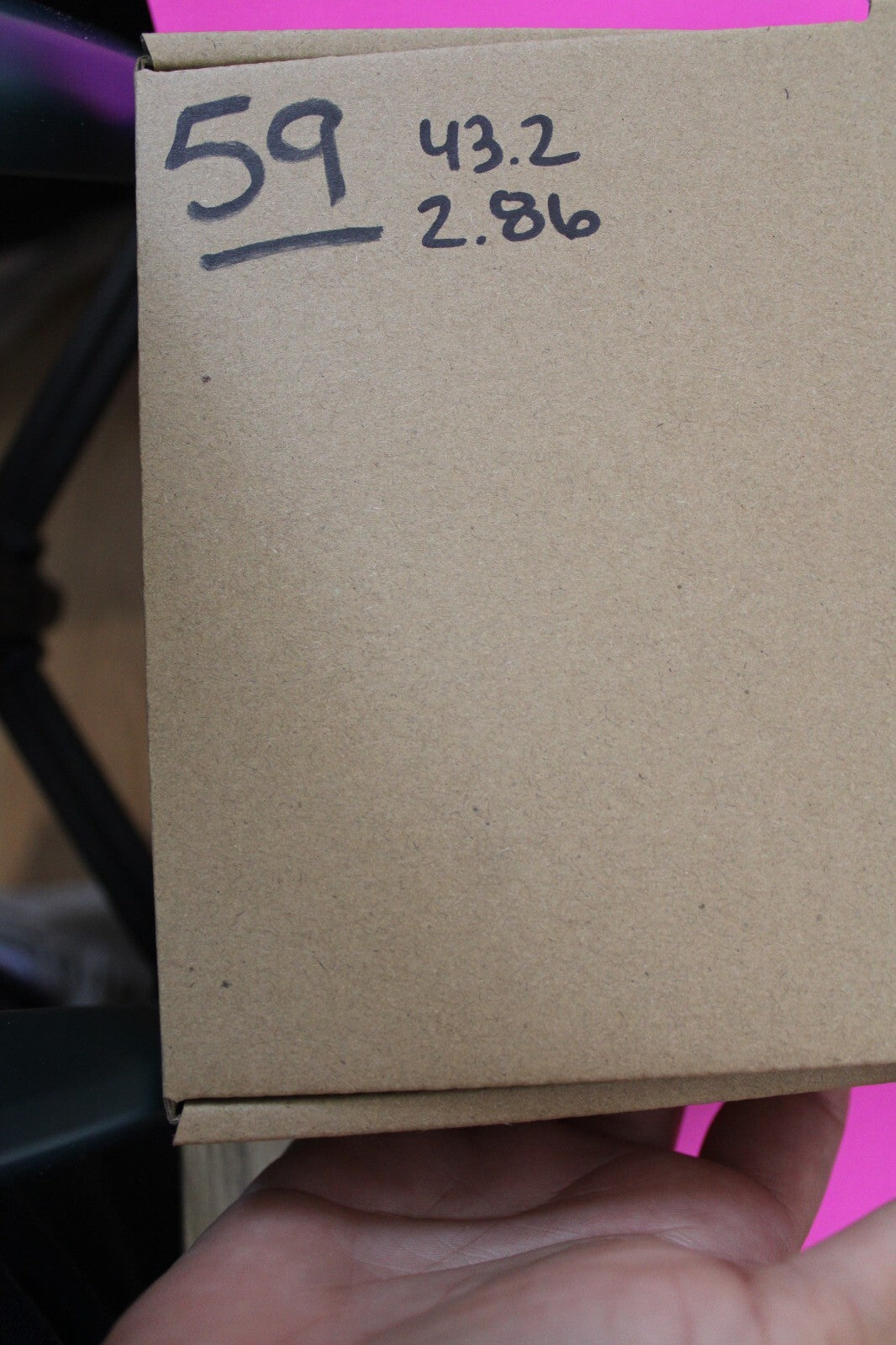 Authentic Megadolon Shark Tooth 2.86 Inch 43 Grams Fossil Dinosaur Girl COA M59