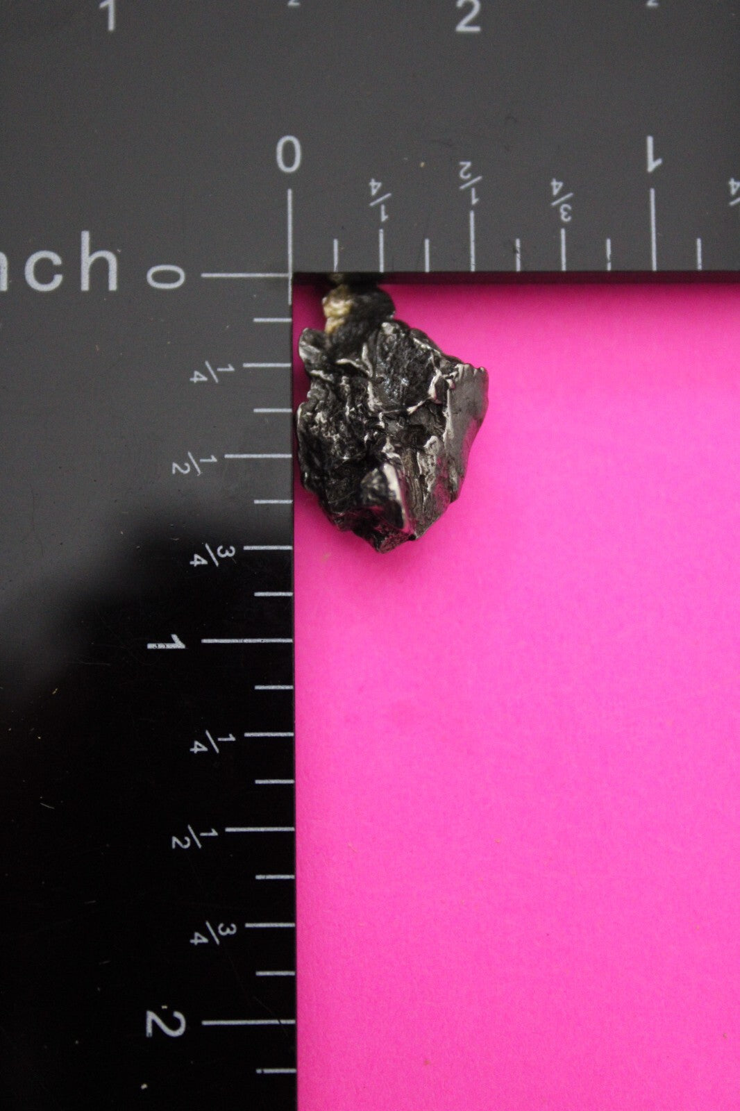 Meteorite Necklace W/ Chain Campo Del Cielo 3.5 Grams Real Dinosaur Girl COA 04