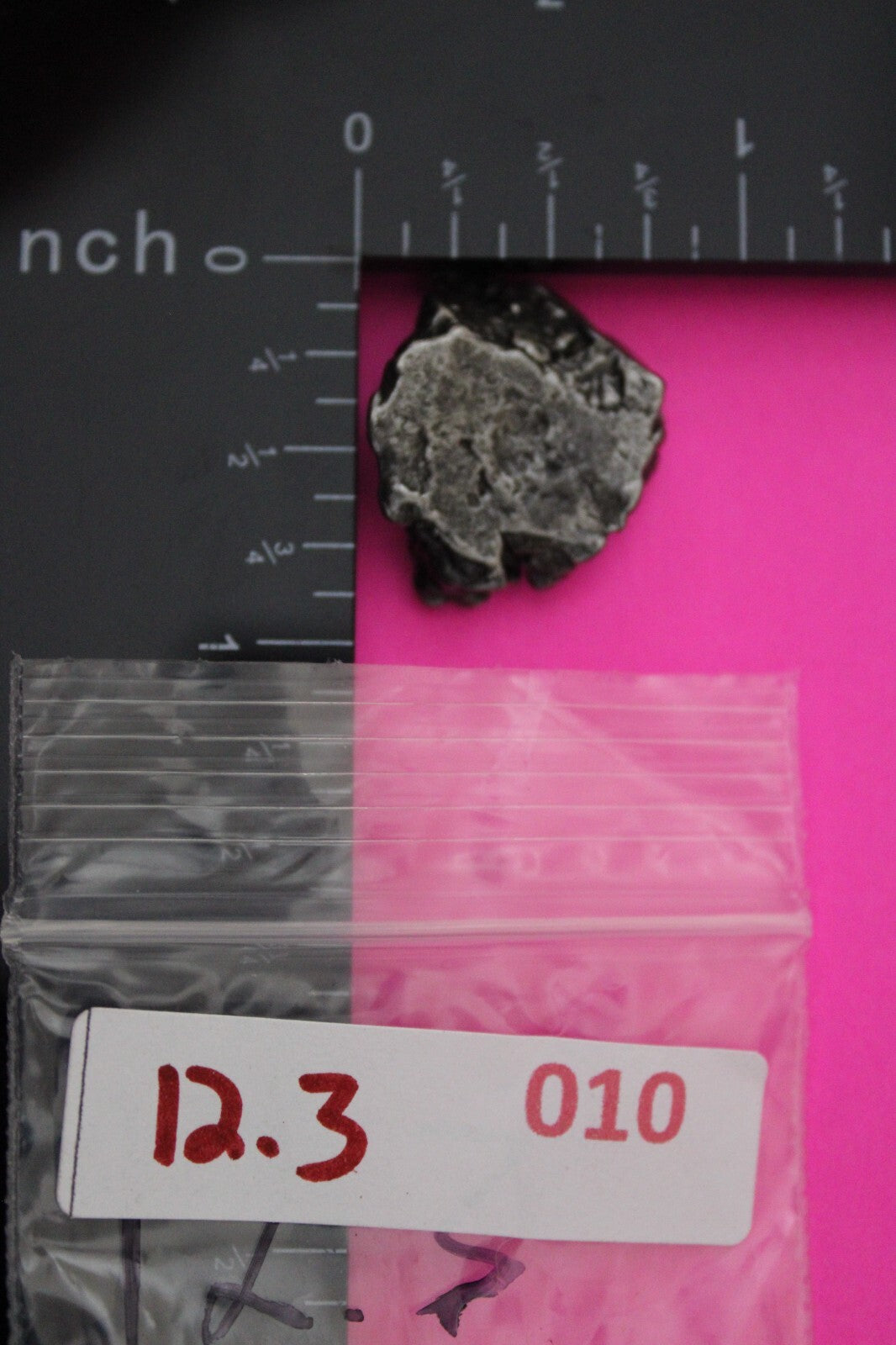 Meteorite Necklace W/ Chain Campo Del Cielo 12.3 Grams Real Dinosaur Girl COA 10