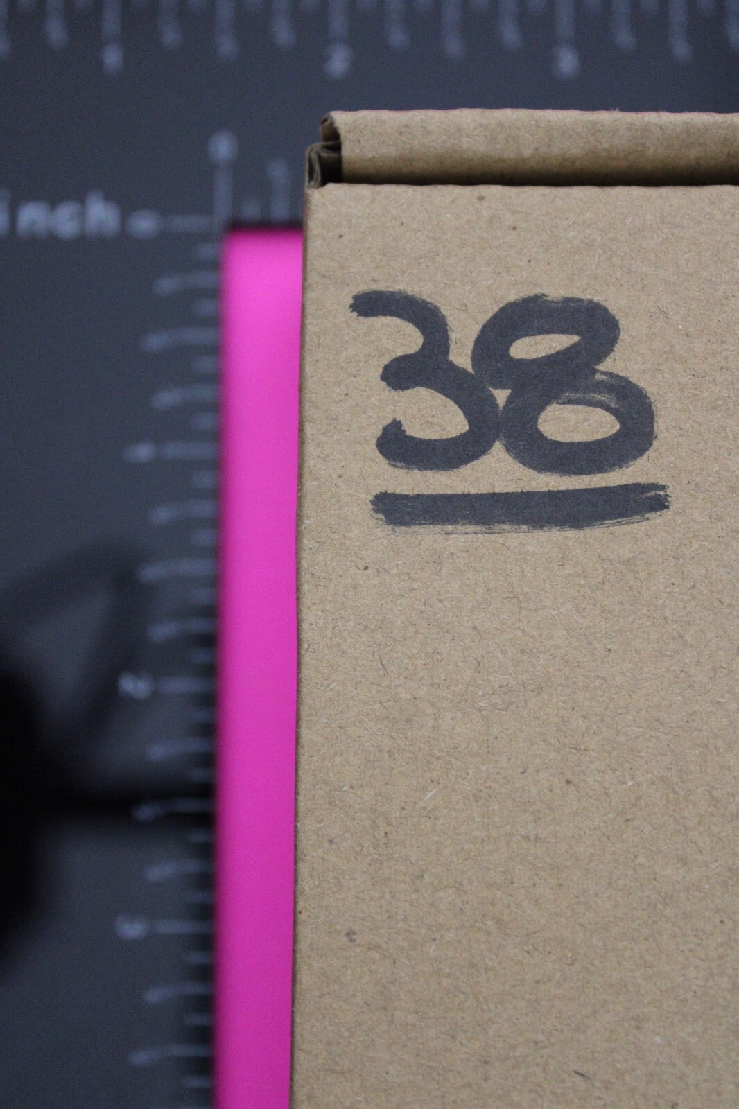 Authentic Trilobite Fossil 450 Million Years Old Genuine Dinosaur Girl COA 38