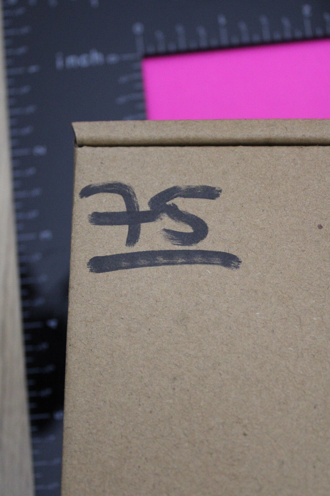 Authentic Trilobite Fossil 450 Million Years Old Genuine Dinosaur Girl COA 75