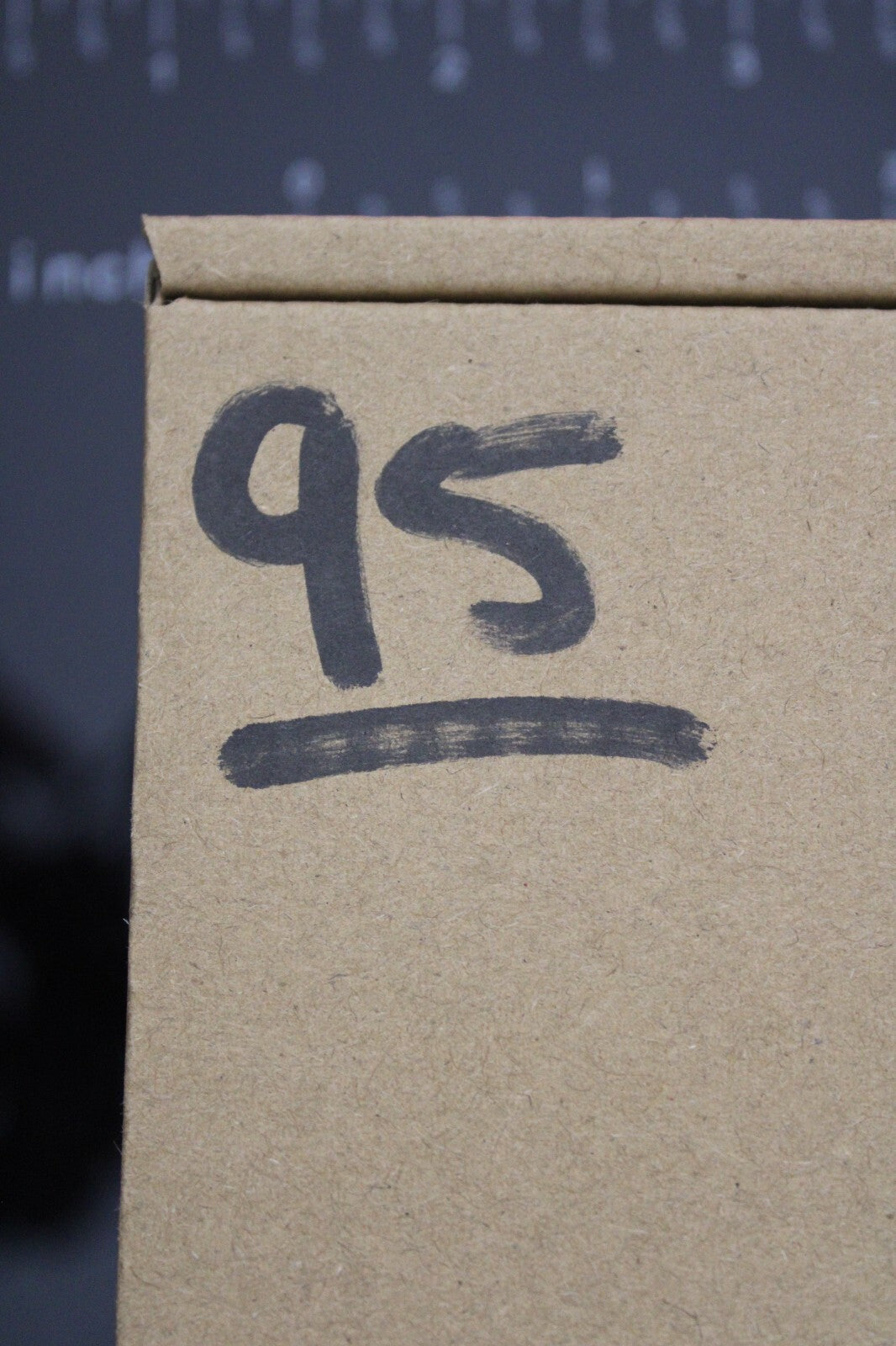 Authentic Trilobite Fossil 450 Million Years Old Genuine Dinosaur Girl COA 95