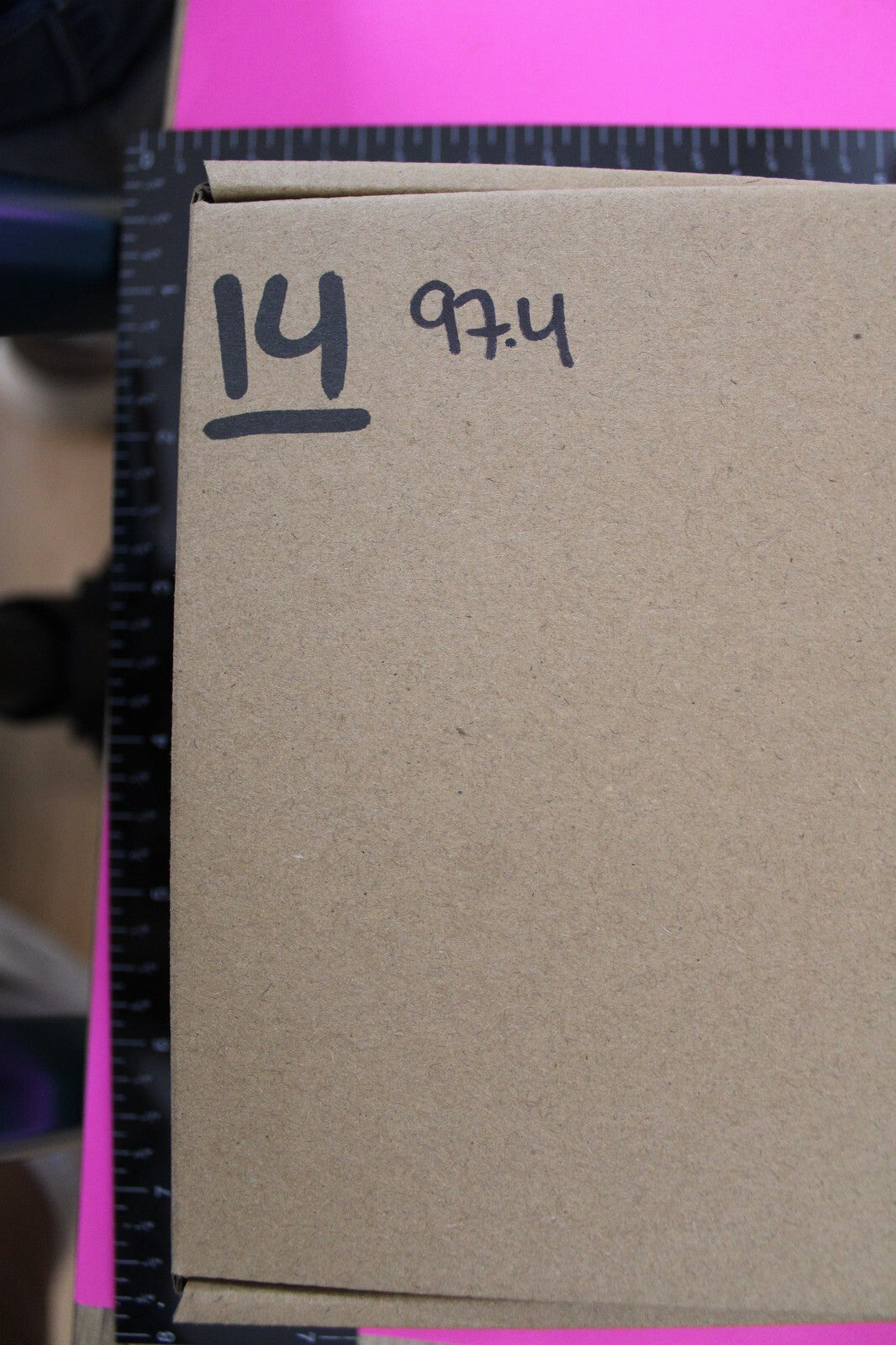 Authentic Trilobite Geode Real Fossil 450 Million Years Old Dinosaur Girl COA 14