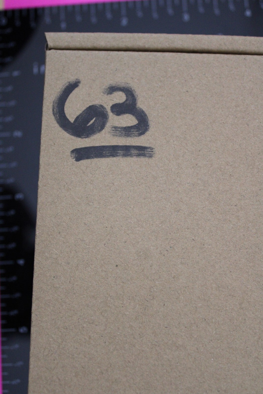 Authentic Trilobite Fossil 450 Million Years Old Genuine Dinosaur Girl COA 63