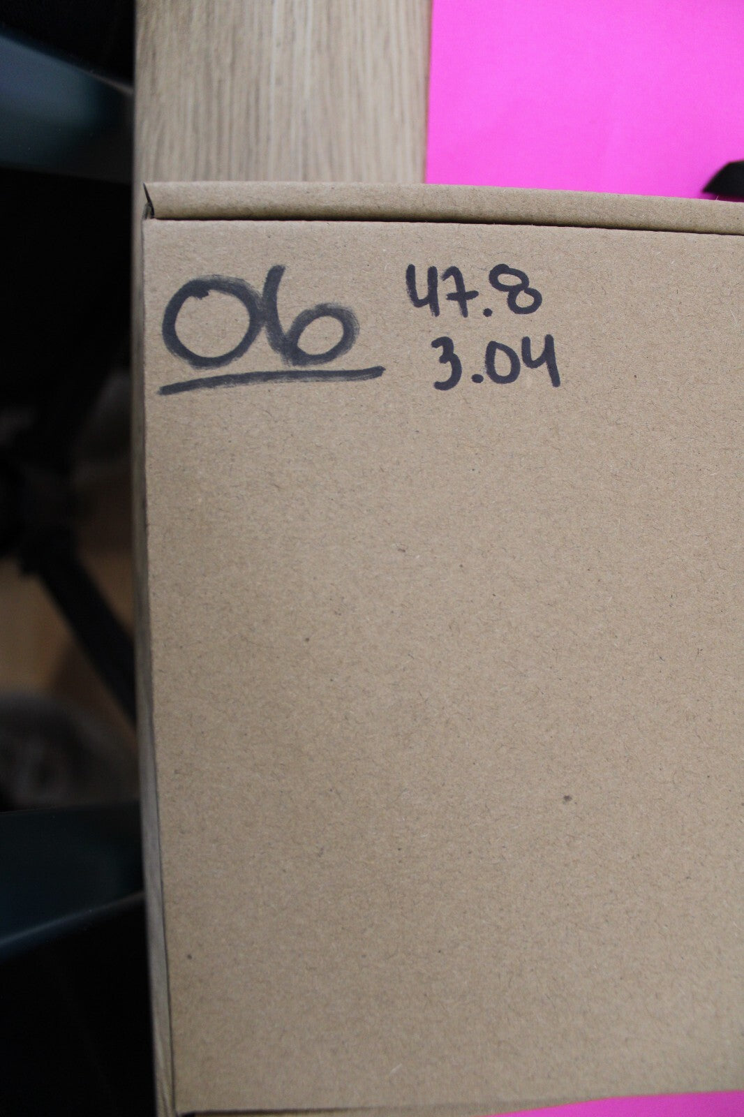 Authentic Megadolon Shark Tooth 3.04 Inch 47 Grams Fossil Dinosaur Girl COA M06