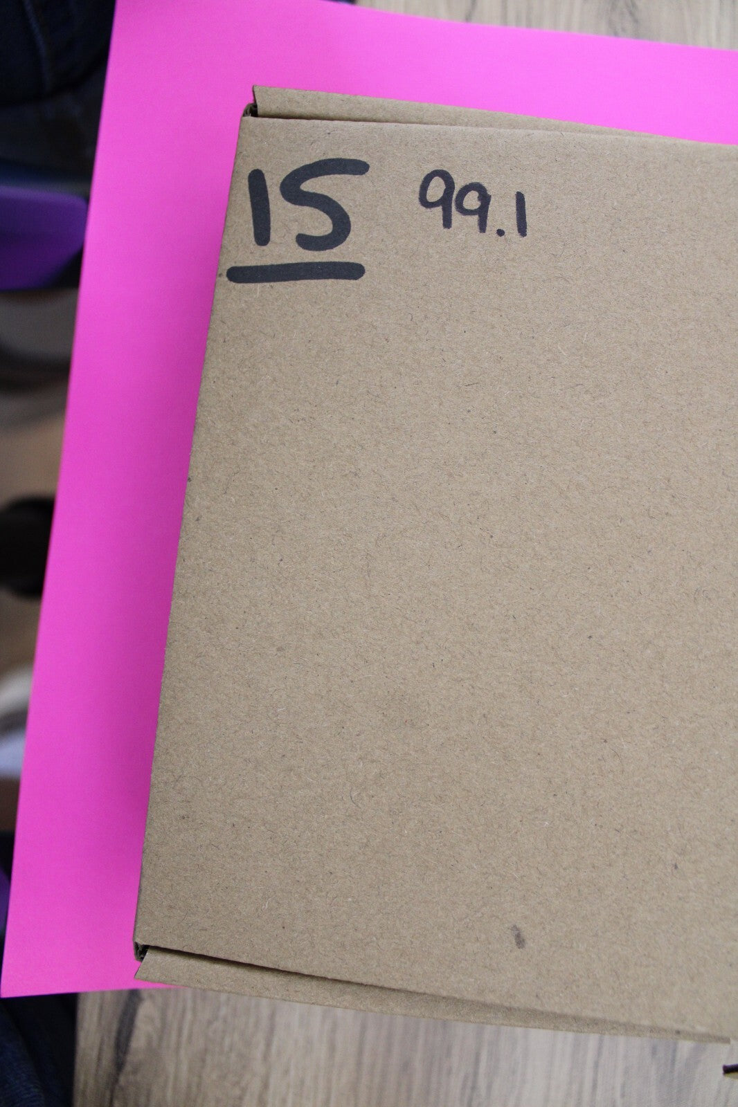 Authentic Trilobite Geode Real Fossil 450 Million Years Old Dinosaur Girl COA 15