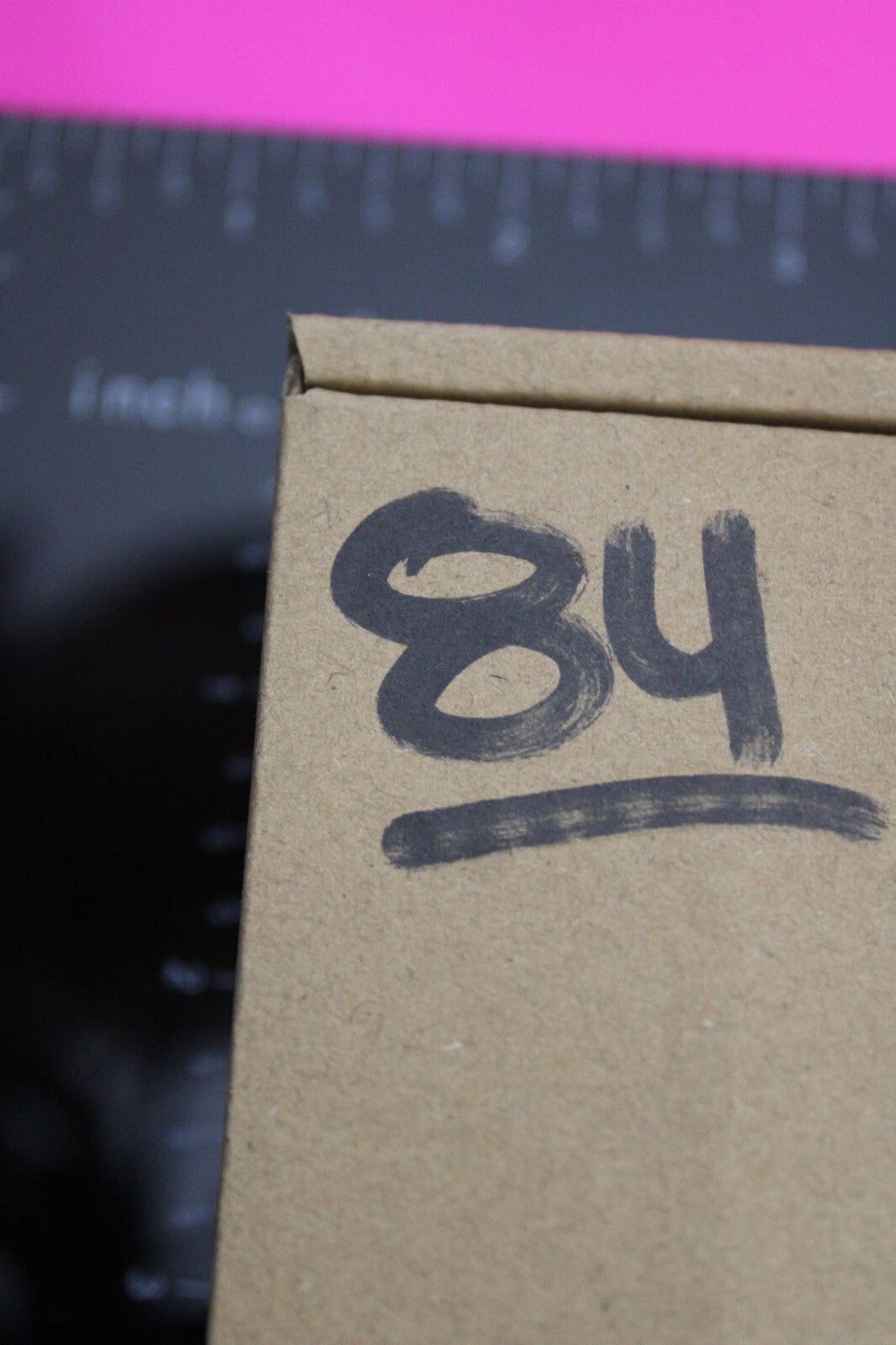 Authentic Trilobite Fossil 450 Million Years Old Genuine Dinosaur Girl COA 84