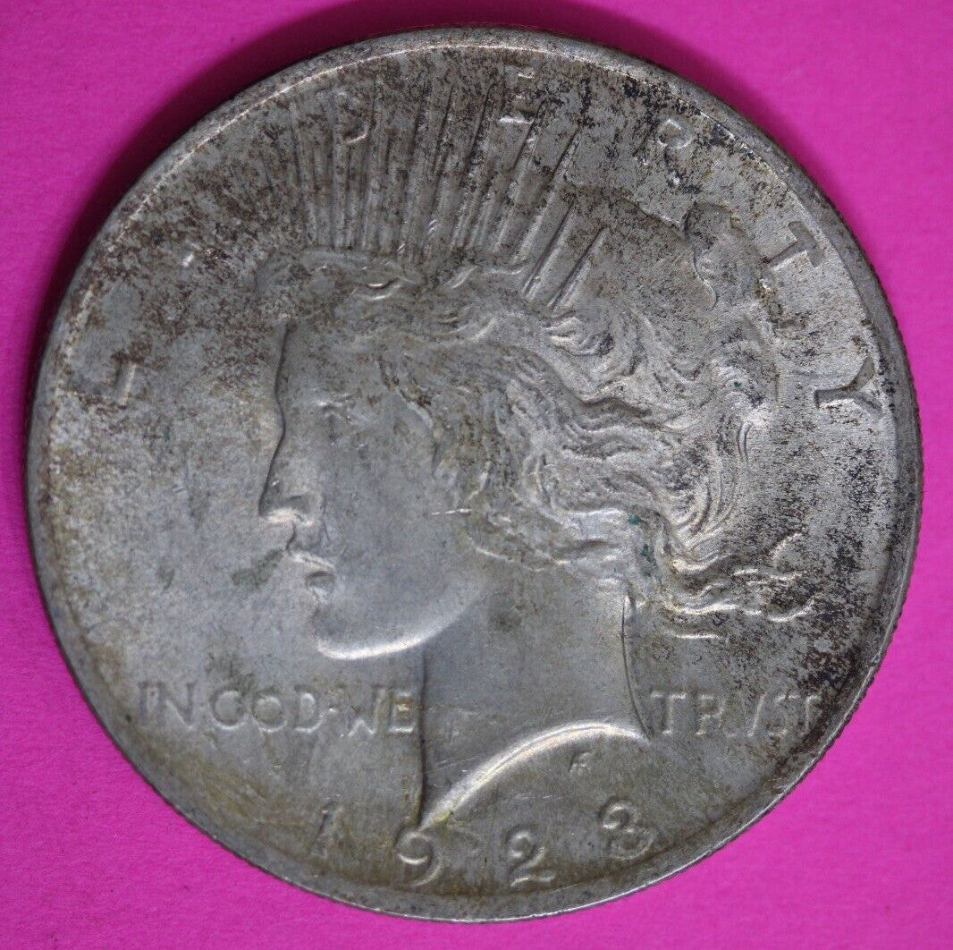 Toned High Grade 1923 P Liberty Peace Silver Dollar Exact Coin In Pics 29