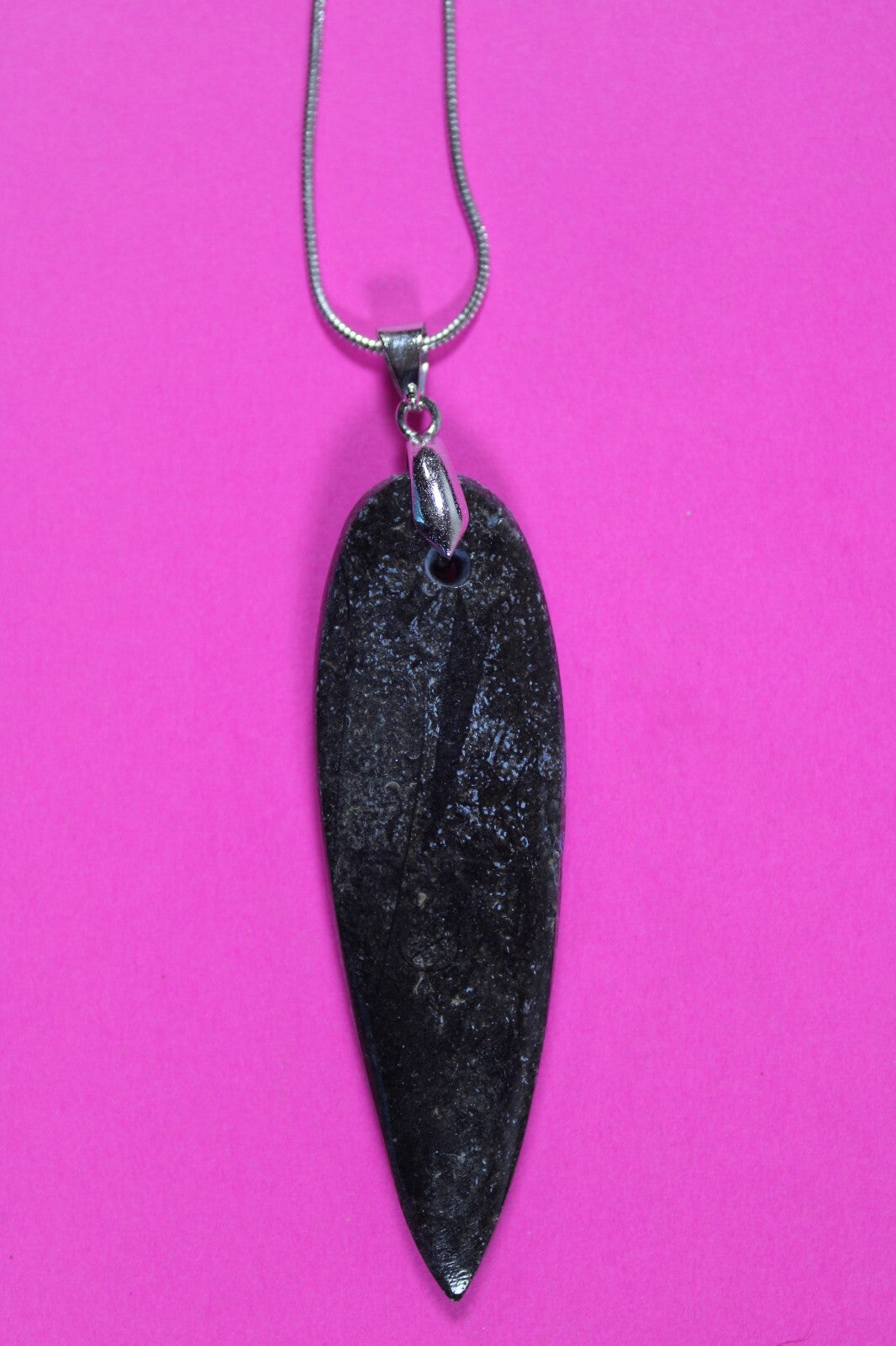 Authentic Orthoceros Necklace Fossil 500 Million Years Old Dinosaur Girl COA 61