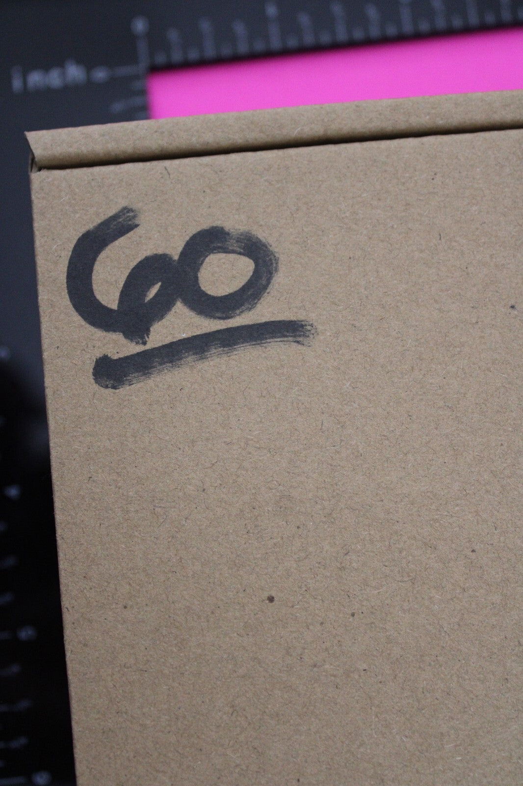 Authentic Trilobite Fossil 450 Million Years Old Genuine Dinosaur Girl COA 60