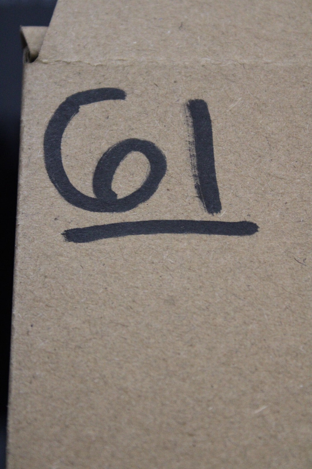 Giant Lizard Poop 5 Million Years Old Genuine Real Fossil Dinosaur Girl COA S61