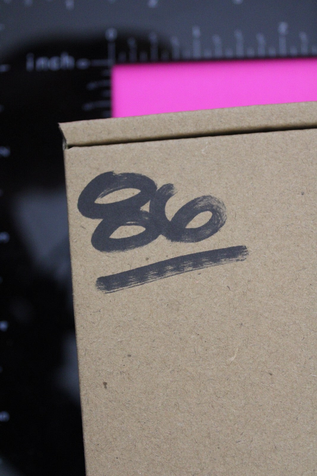 Authentic Trilobite Fossil 450 Million Years Old Genuine Dinosaur Girl COA 86