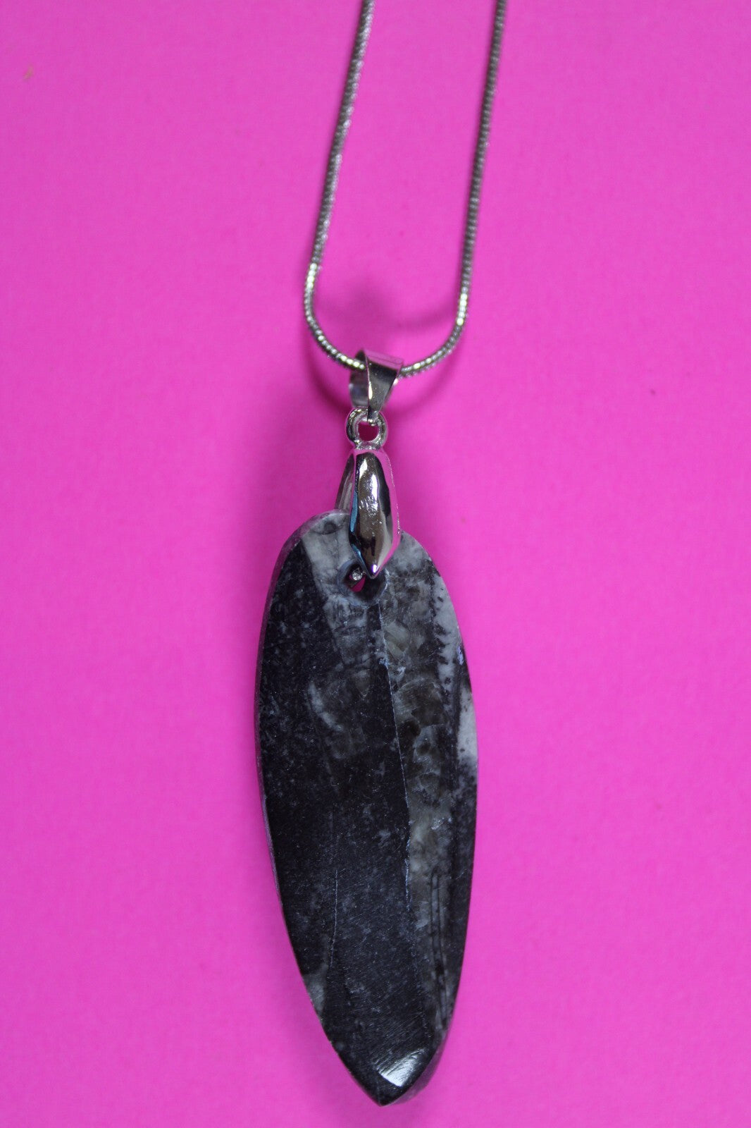 Authentic Orthoceros Necklace Fossil 500 Million Years Old Dinosaur Girl COA 07