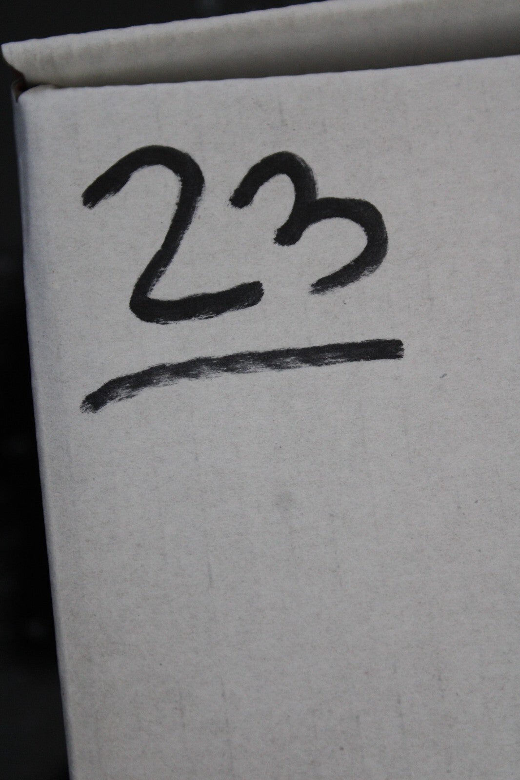 Giant Lizard Poop 5 Million Years Old Genuine Real Fossil Dinosaur Girl COA L23