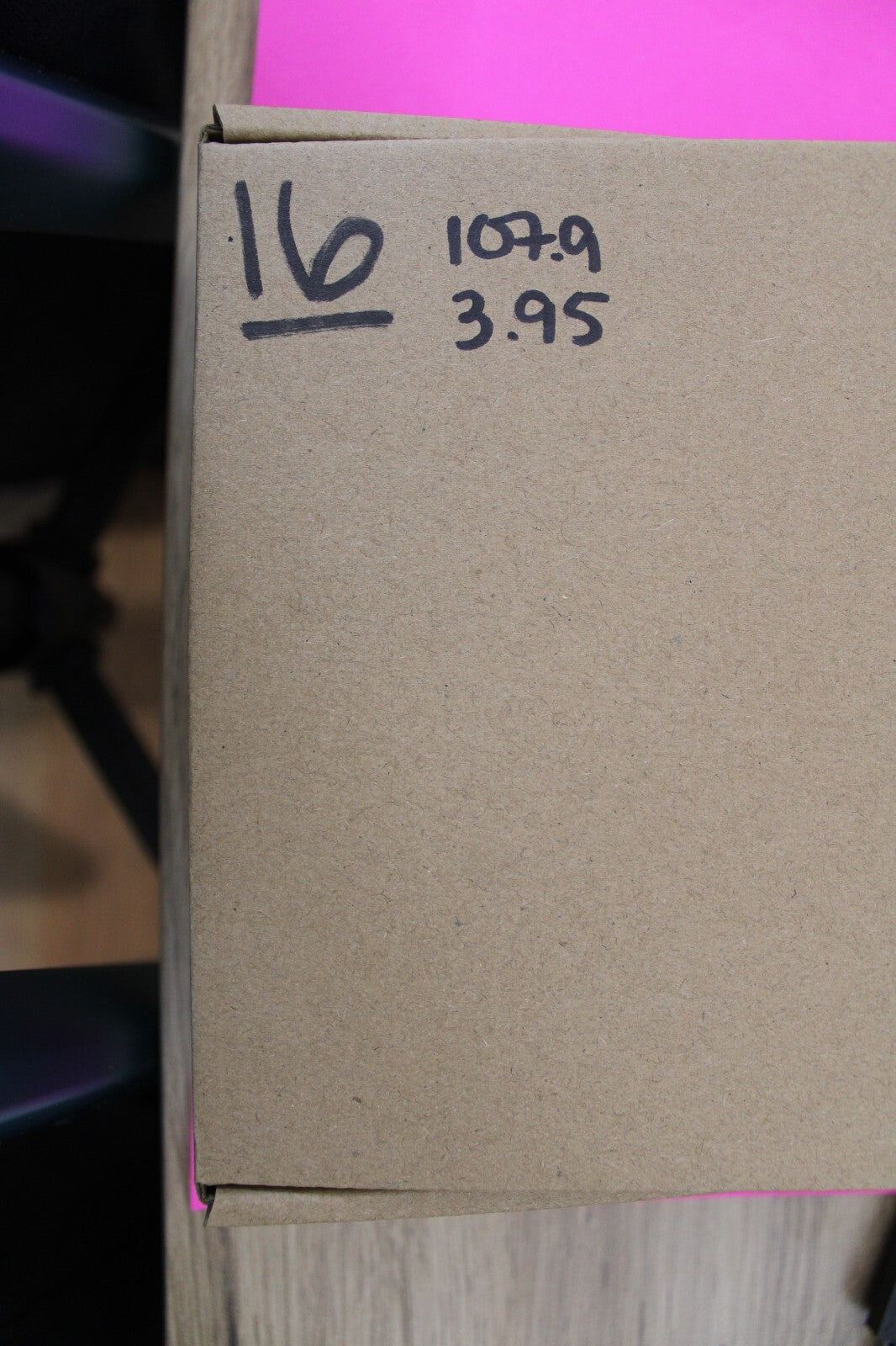 Authentic Megadolon Shark Tooth 3.95 Inch 107 Grams Fossil Dinosaur Girl COA M16