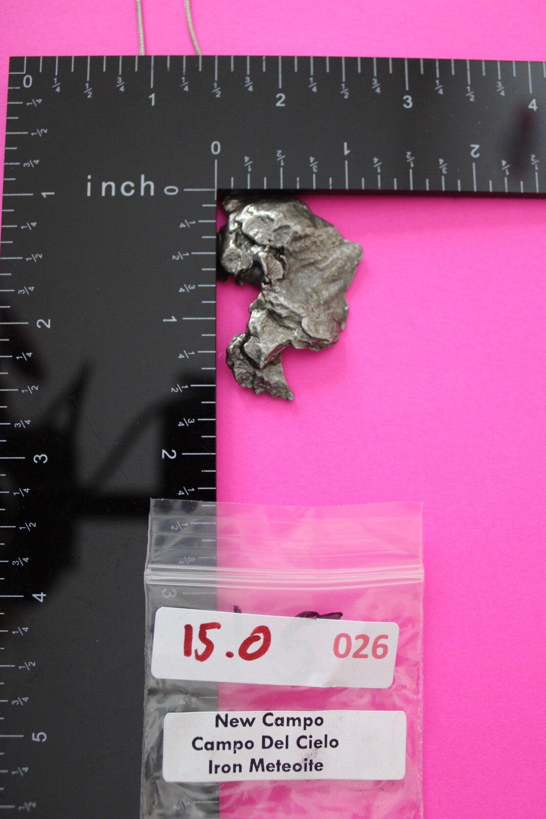 Meteorite Necklace W/ Chain Campo Del Cielo 15 Grams Real Dinosaur Girl COA 26