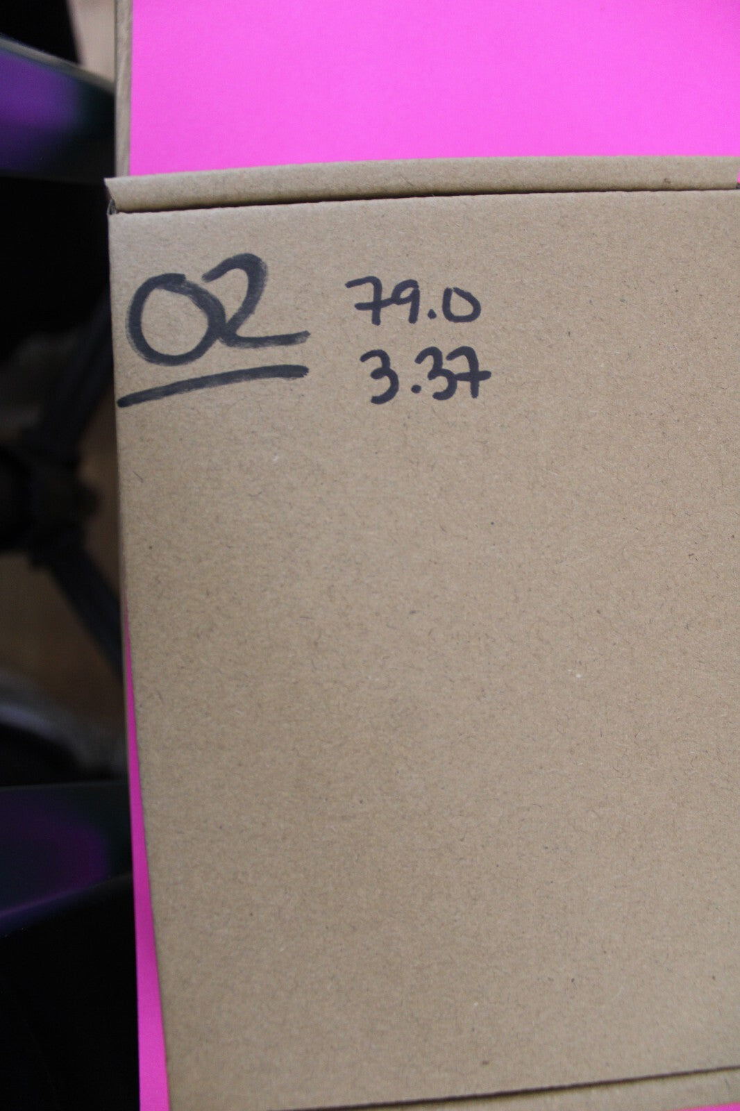 Authentic Megadolon Shark Tooth 3.37 Inch 79 Grams Fossil Dinosaur Girl COA M02