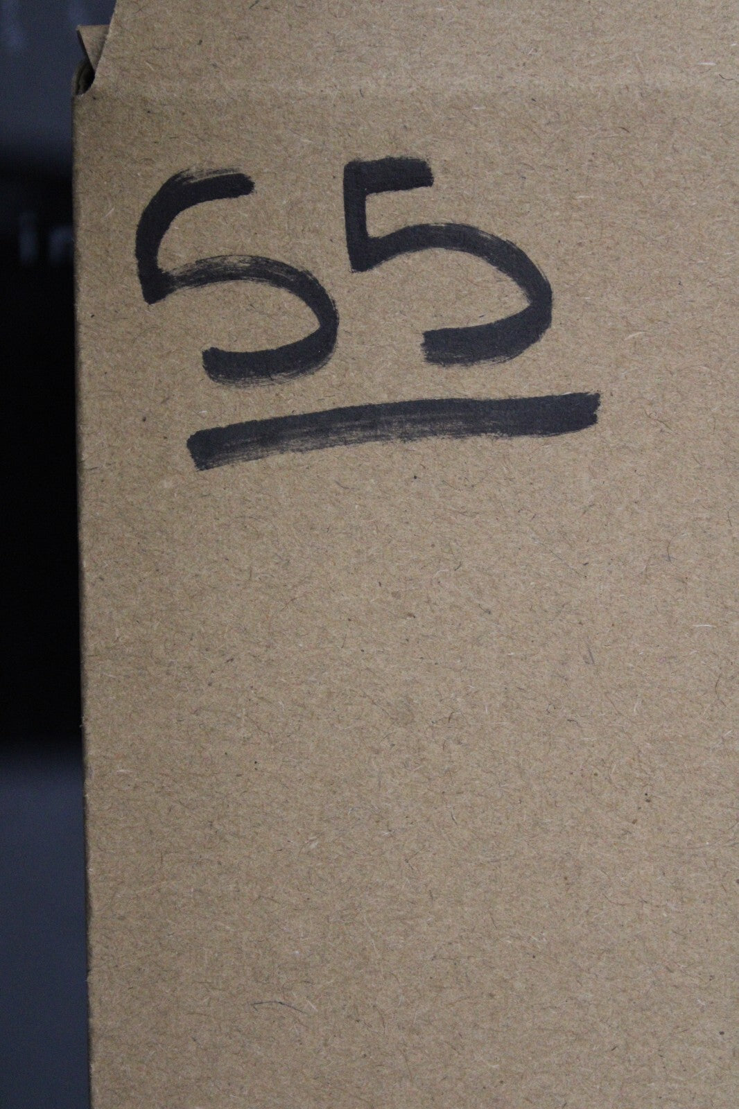 Giant Lizard Poop 5 Million Years Old Genuine Real Fossil Dinosaur Girl COA S55