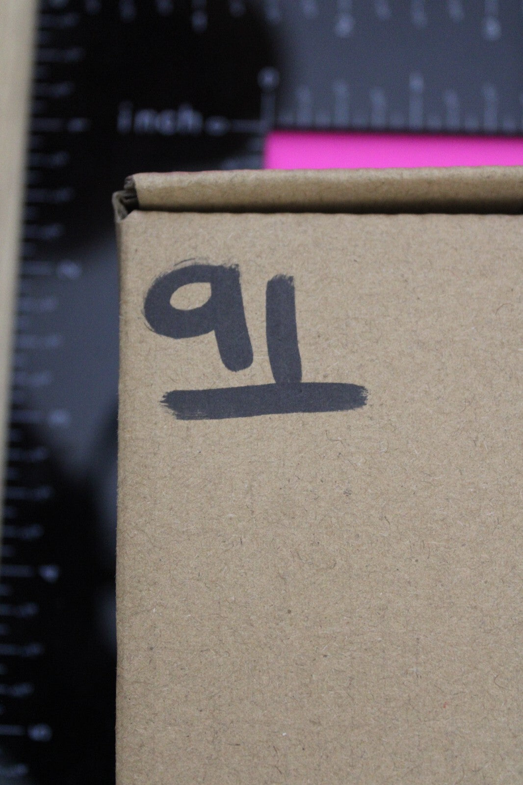 Authentic Trilobite Fossil 450 Million Years Old Genuine Dinosaur Girl COA 91