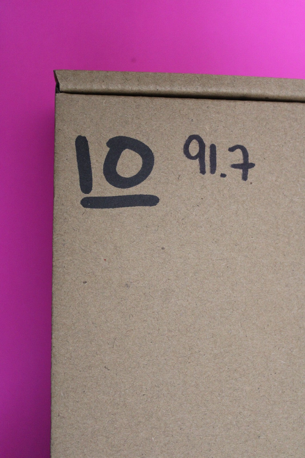 Authentic Trilobite Geode Real Fossil 450 Million Years Old Dinosaur Girl COA 10