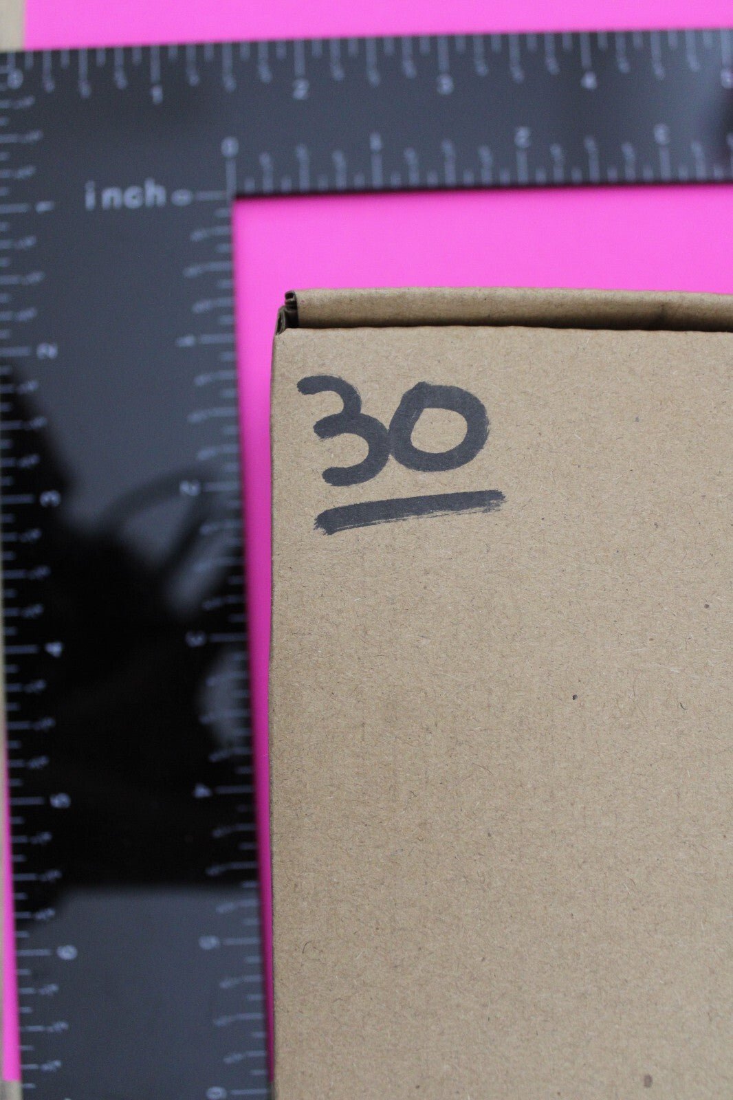 Authentic Trilobite Fossil 450 Million Years Old Genuine Dinosaur Girl COA 30