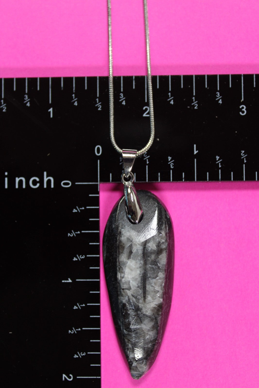 Authentic Orthoceros Necklace Fossil 500 Million Years Old Dinosaur Girl COA 59