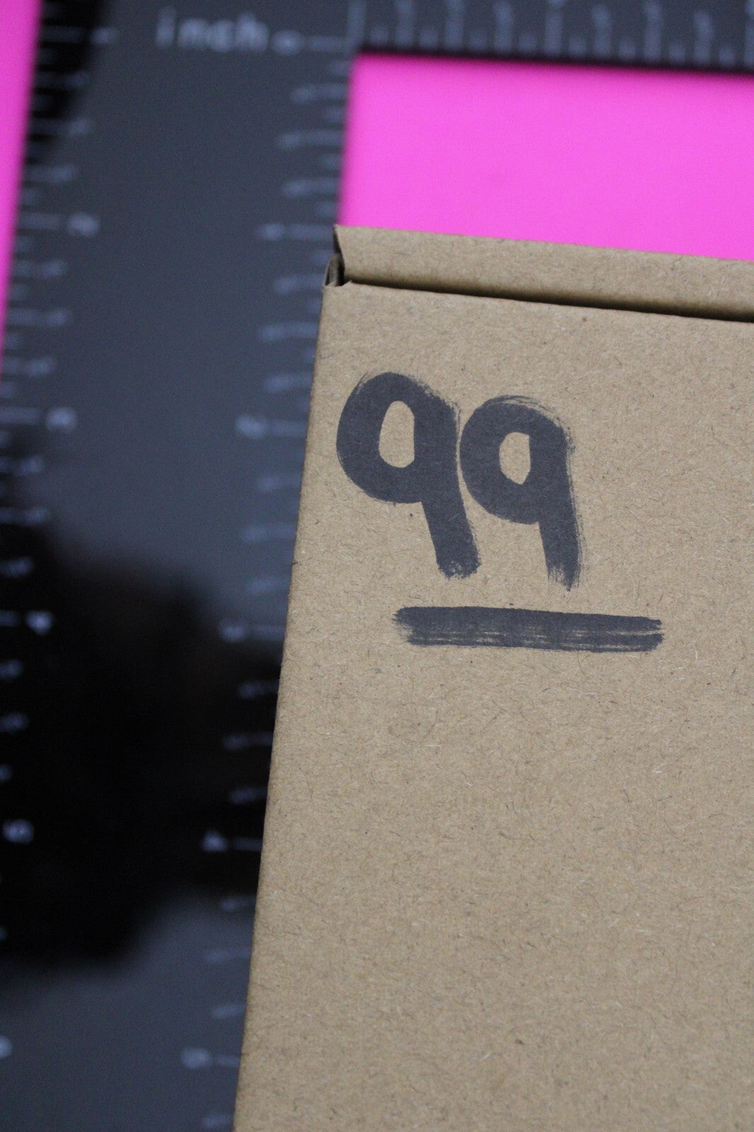 Authentic Trilobite Fossil 450 Million Years Old Genuine Dinosaur Girl COA 99