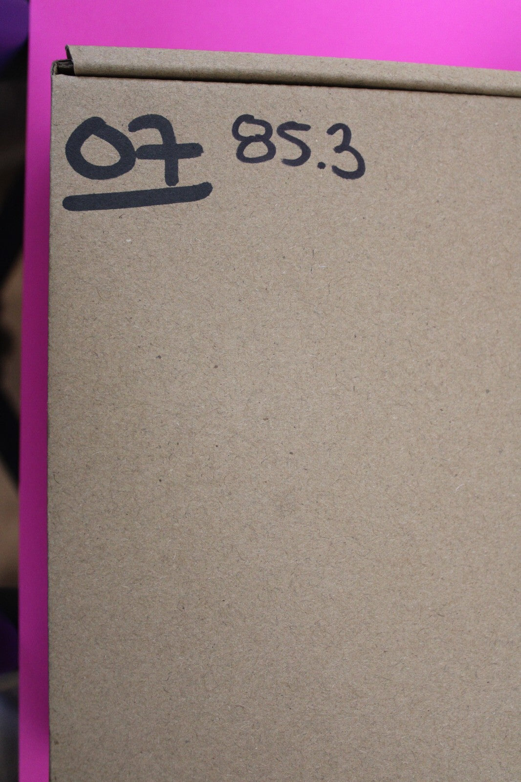 Authentic Trilobite Geode Real Fossil 450 Million Years Old Dinosaur Girl COA 07