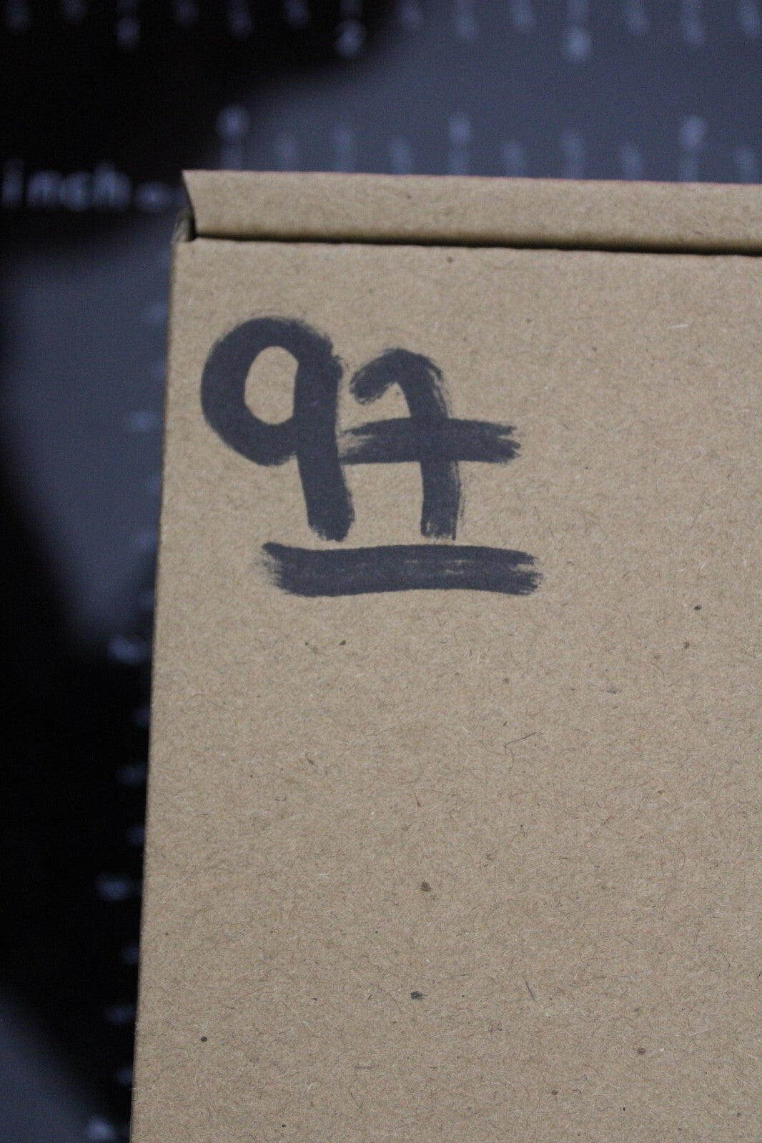 Authentic Trilobite Fossil 450 Million Years Old Genuine Dinosaur Girl COA 97