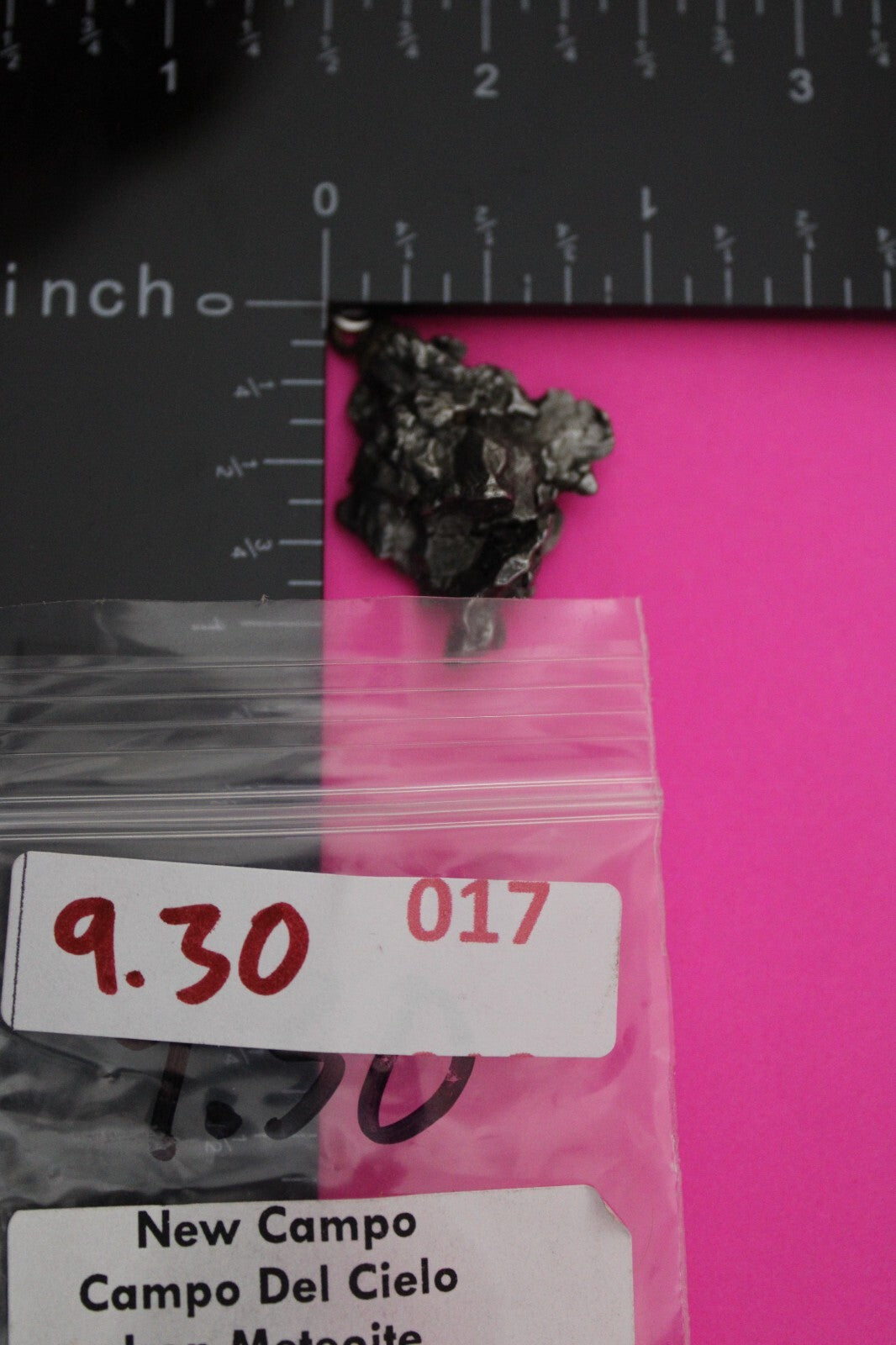 Meteorite Necklace W/ Chain Campo Del Cielo 9.3 Grams Real Dinosaur Girl COA 17