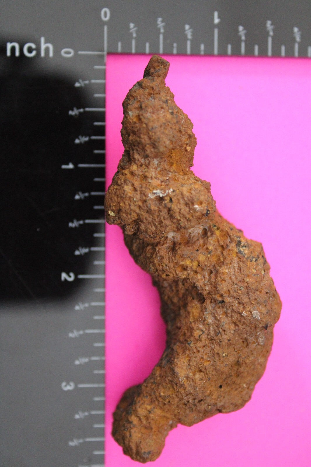 Giant Lizard Poop 5 Million Years Old Genuine Real Fossil Dinosaur Girl COA S57