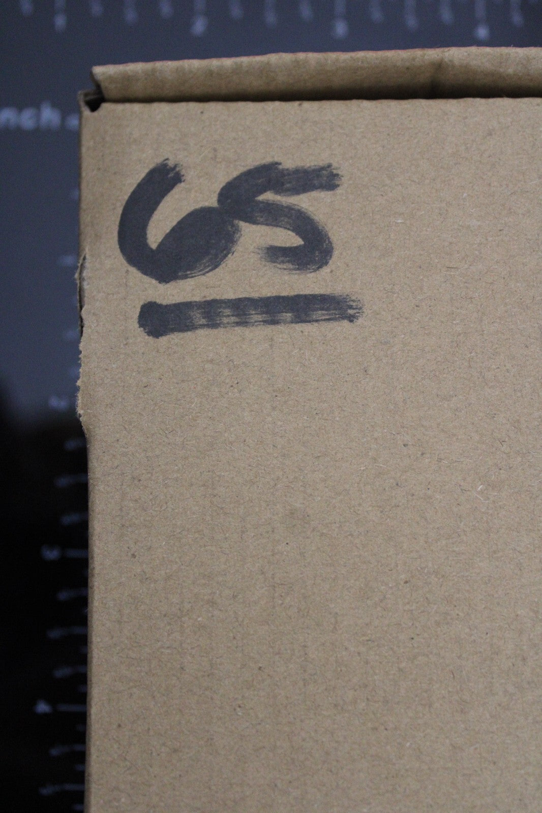 Authentic Trilobite Fossil 450 Million Years Old Genuine Dinosaur Girl COA 65