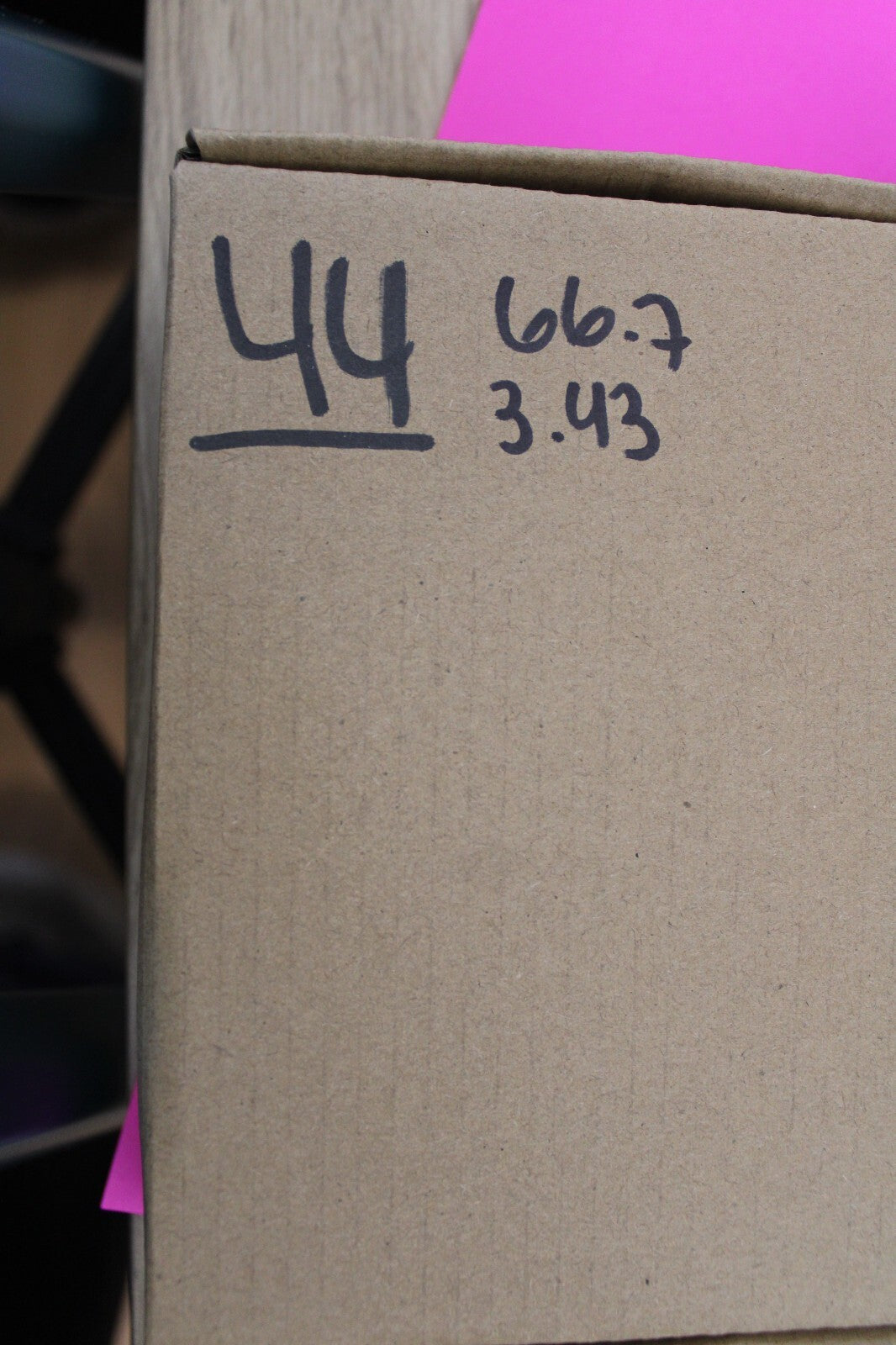 Authentic Megadolon Shark Tooth 3.43 Inch 66 Grams Fossil Dinosaur Girl COA M44