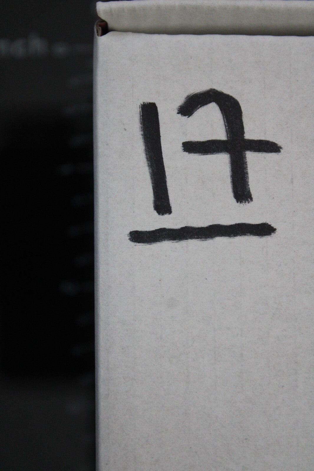 Giant Lizard Poop 5 Million Years Old Genuine Real Fossil Dinosaur Girl COA L17