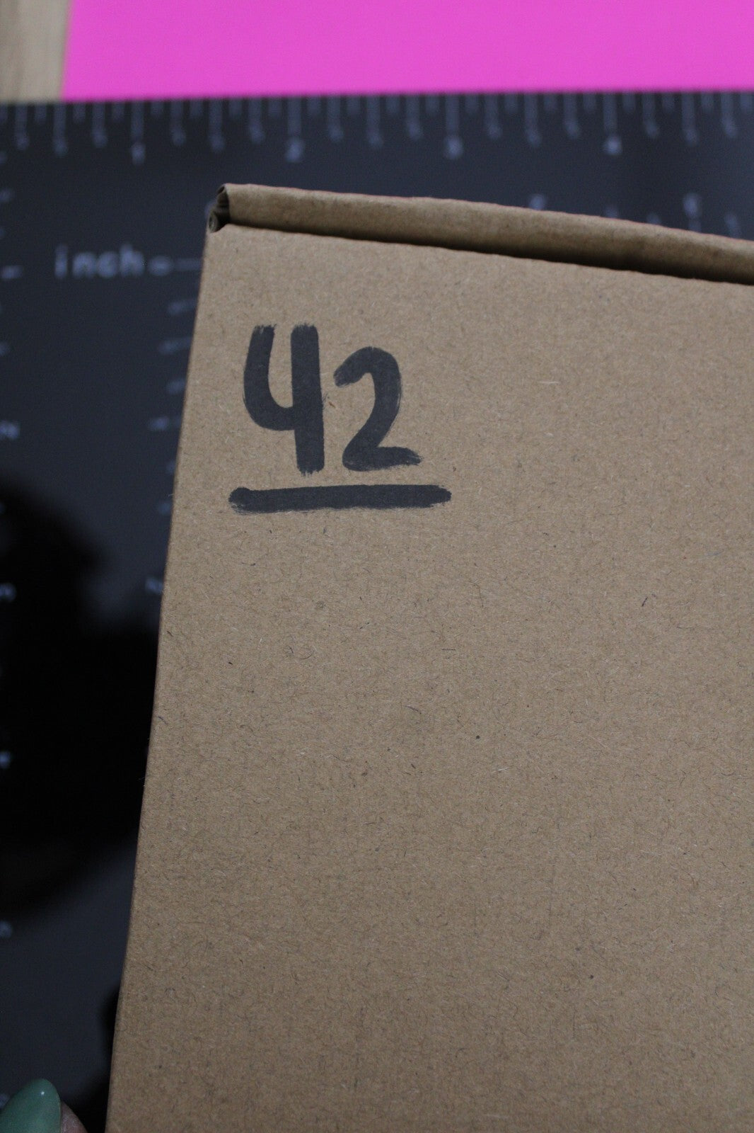 Authentic Trilobite Fossil 450 Million Years Old Genuine Dinosaur Girl COA 42