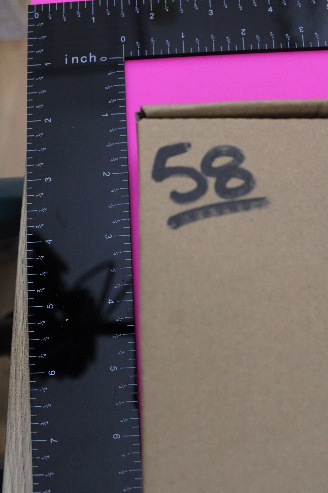 Authentic Trilobite Fossil 450 Million Years Old Genuine Dinosaur Girl COA 58