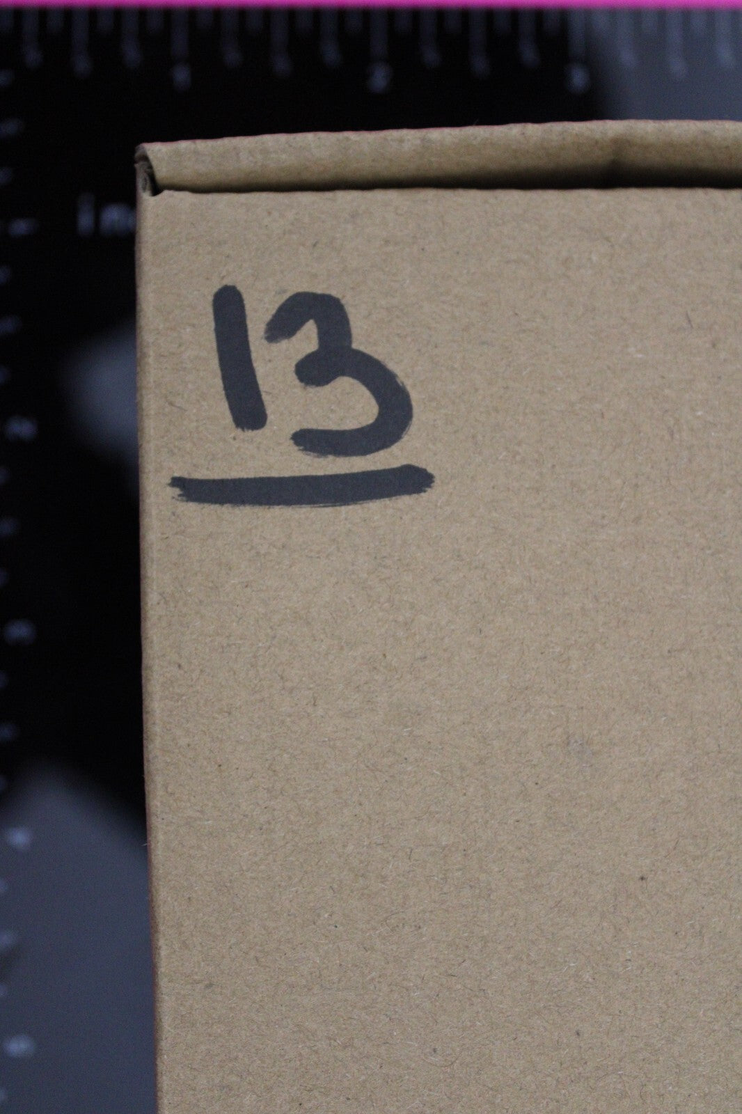 Authentic Trilobite Fossil 450 Million Years Old Genuine Dinosaur Girl COA 13