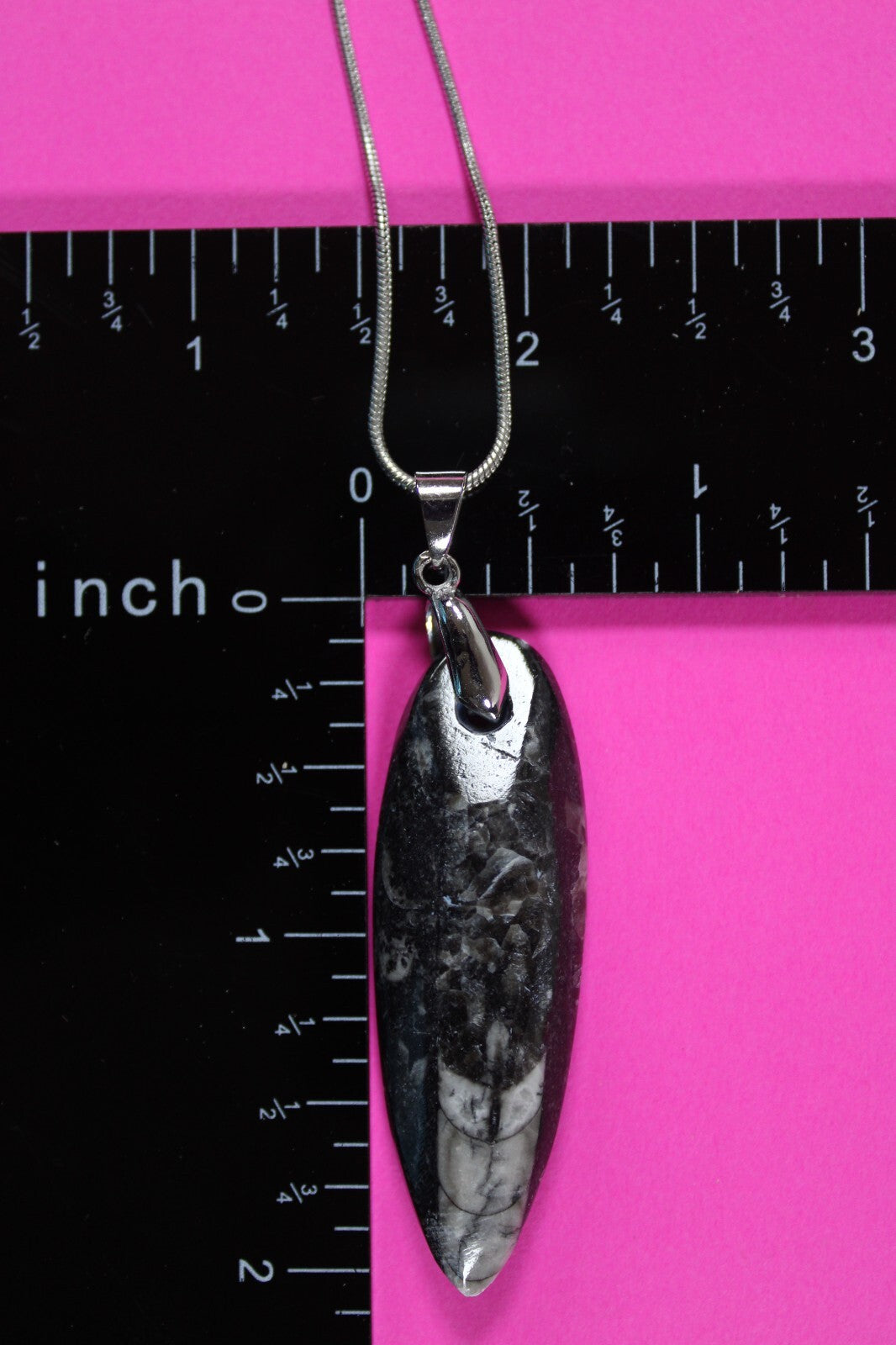 Authentic Orthoceros Necklace Fossil 500 Million Years Old Dinosaur Girl COA 67